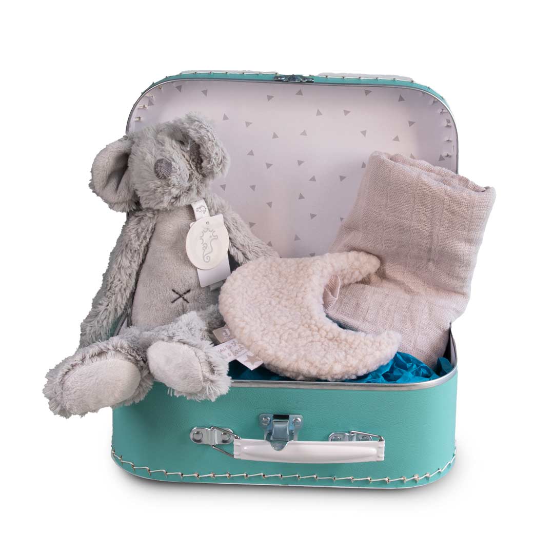 DRMK-bk-kofbun-mt-min-00001-front koffertje sleeping mouse front